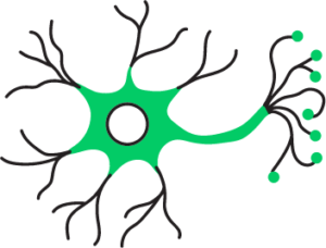 Neurology and Psychiatry