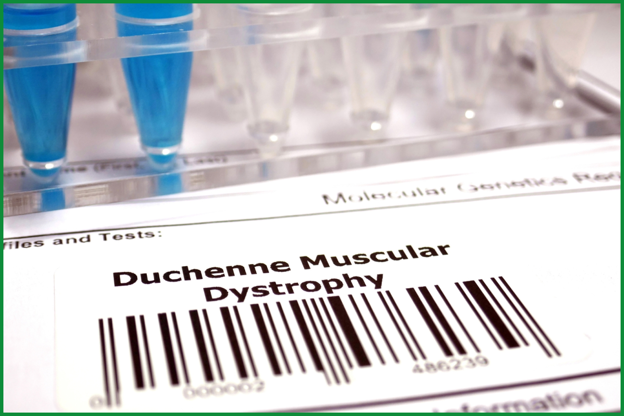 Duvyzat® para el tratamiento de la distrofia muscular de Duchenne